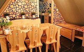 Apartament - Willa Na Górskim Szlaku